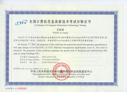 《網(wǎng)站組建與維護(hù)精品課 構(gòu)建穩(wěn)固、高效的數(shù)字門戶》